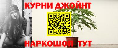 крисы Будённовск