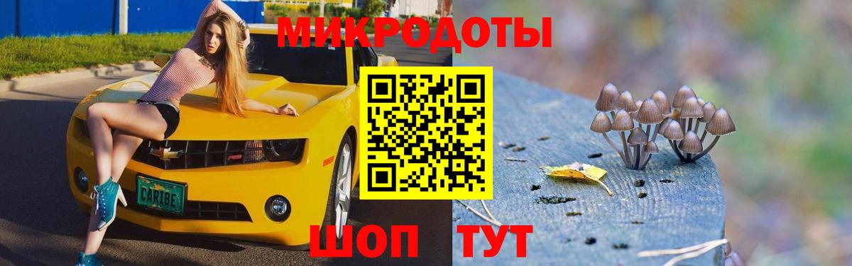 Псилоцибиновые грибы GOLDEN TEACHER Чебоксары